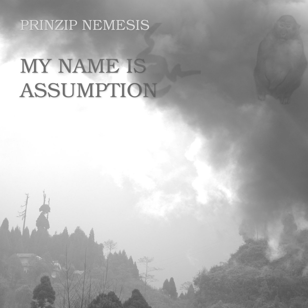 Prinzip Nemesis My Name Is Assumotion Re-Release Cover
